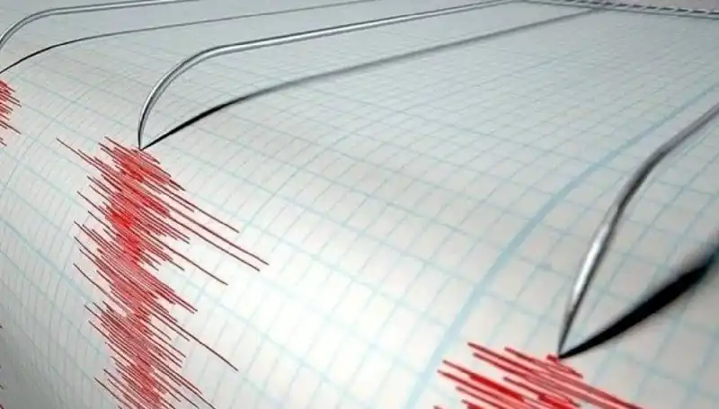 Ege Denizi'nde 3.5 Büyüklüğünde Deprem: Olay Anı ve Sonrası